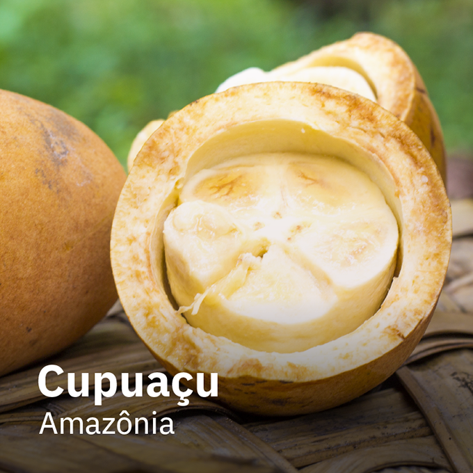 Cupuaçu