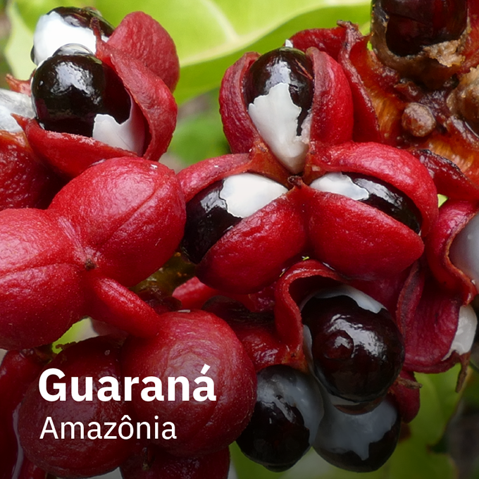Guaraná