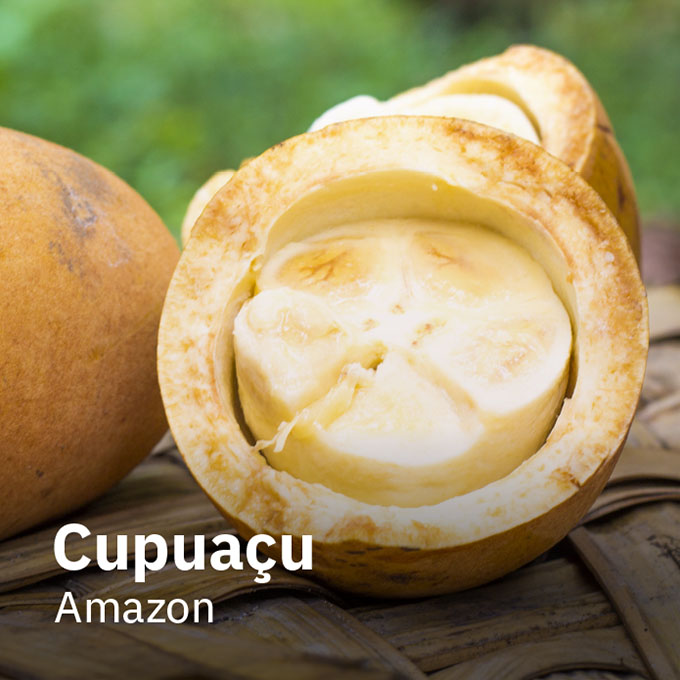 Cupuaçu