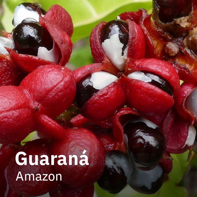 Guaraná