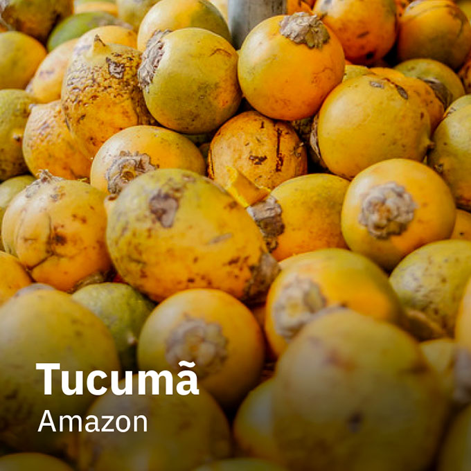 Tucumã