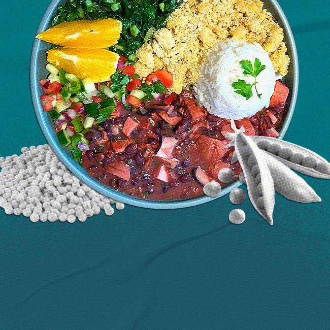 The science of vegetable proteins (plant-based) 