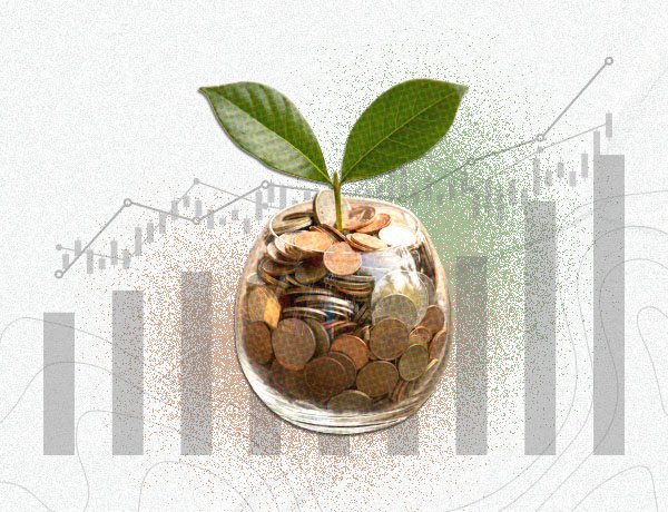 Raise investments for your business
