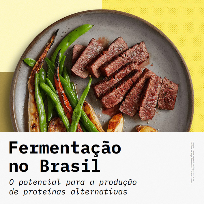 Fermentação no Brasil: o potencial para a produção de proteínas alternativas